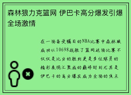森林狼力克篮网 伊巴卡高分爆发引爆全场激情