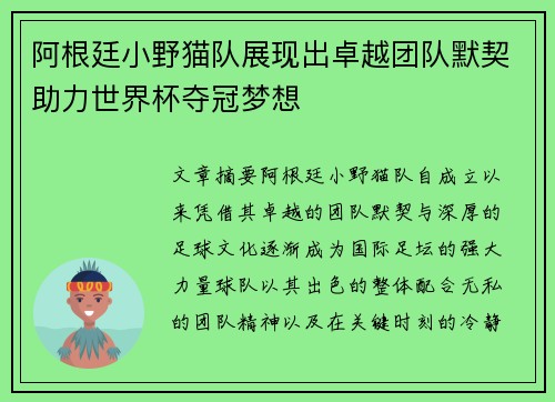 阿根廷小野猫队展现出卓越团队默契助力世界杯夺冠梦想