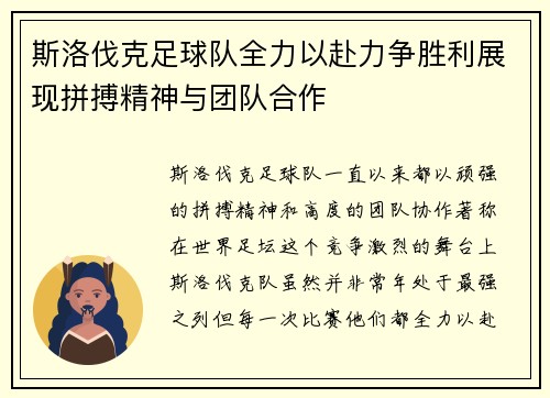 斯洛伐克足球队全力以赴力争胜利展现拼搏精神与团队合作